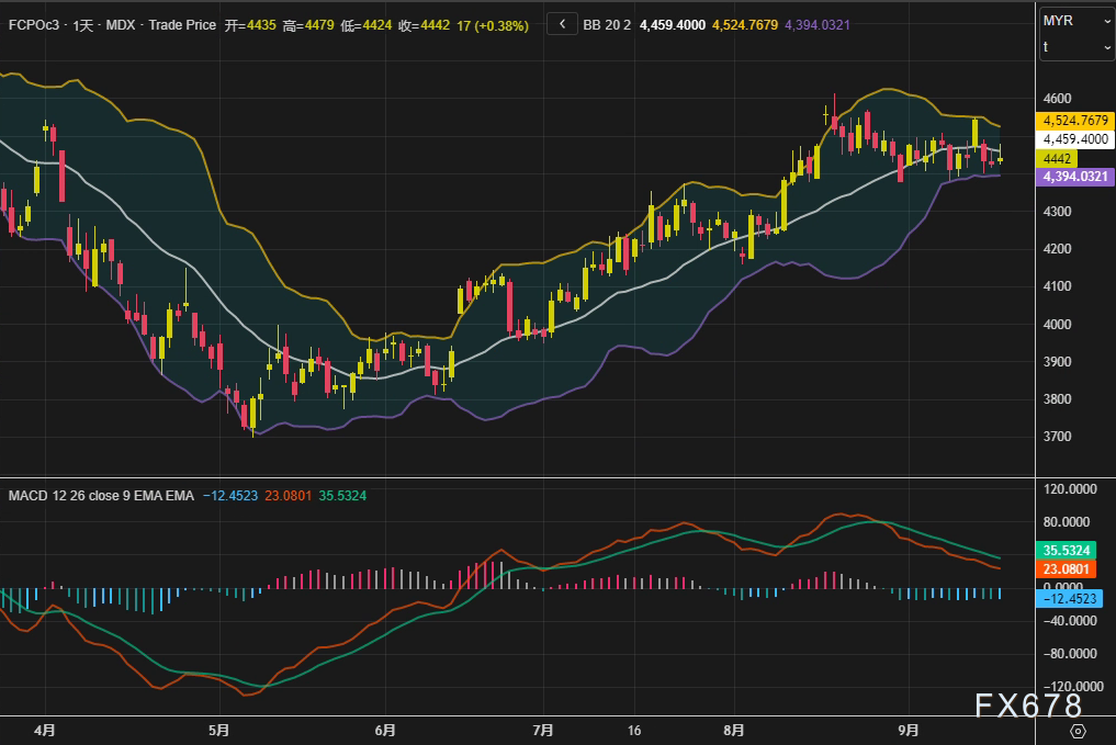 棕榈油反弹能否延续？目光已转向孟买的讲台与季风的方向(图2)