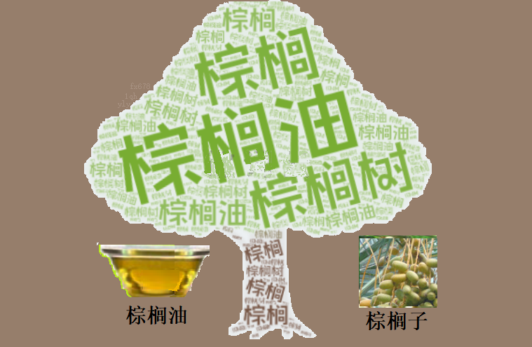 棕油市场局势分析：德璞官网解读多空因素
